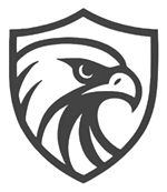 IrisHawk Cybersecurity